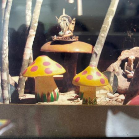 Refugio Das Fadas Praia de Pipa エクステリア 写真